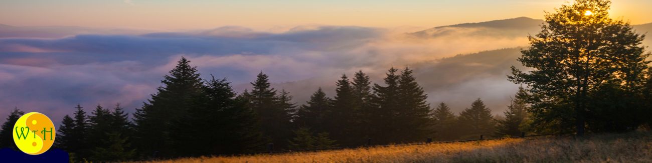 banner unzufriedenheit