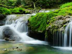 leistungen feng shui