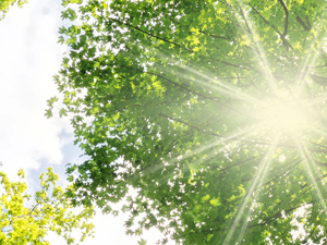 leistungen lebensberatung