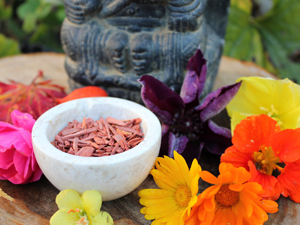 leistungen raeuchern